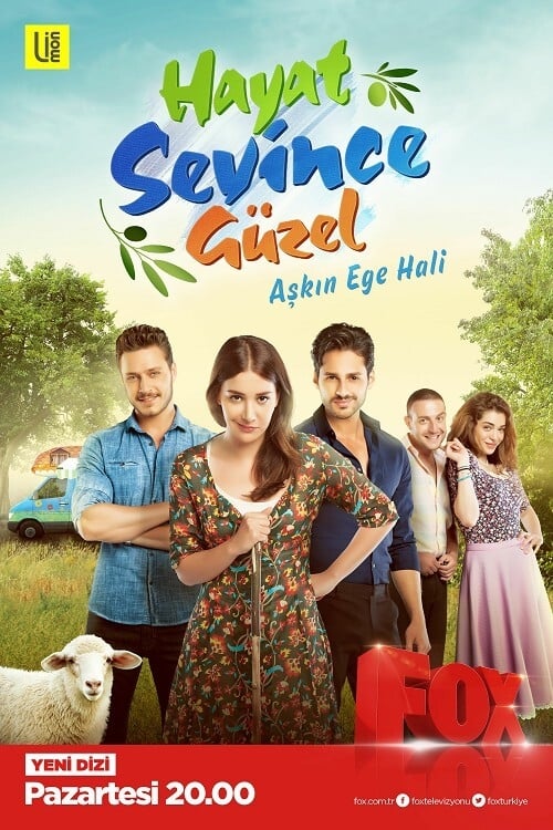 Poster de Hayat Sevince Güzel