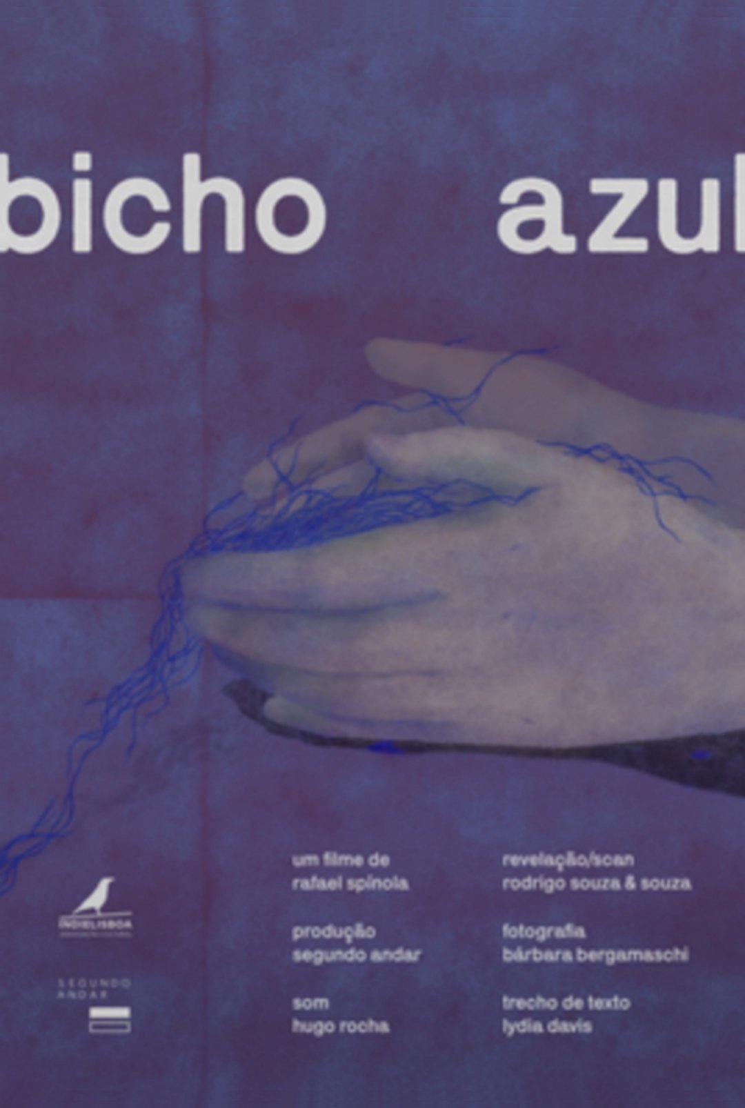 Poster de Bicho Azul
