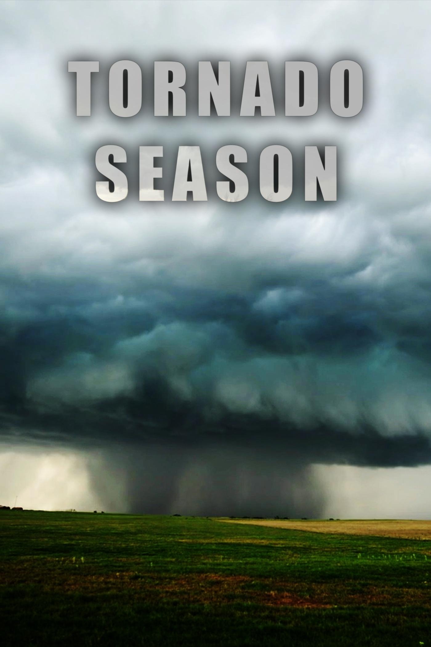 Poster de Tornado Season