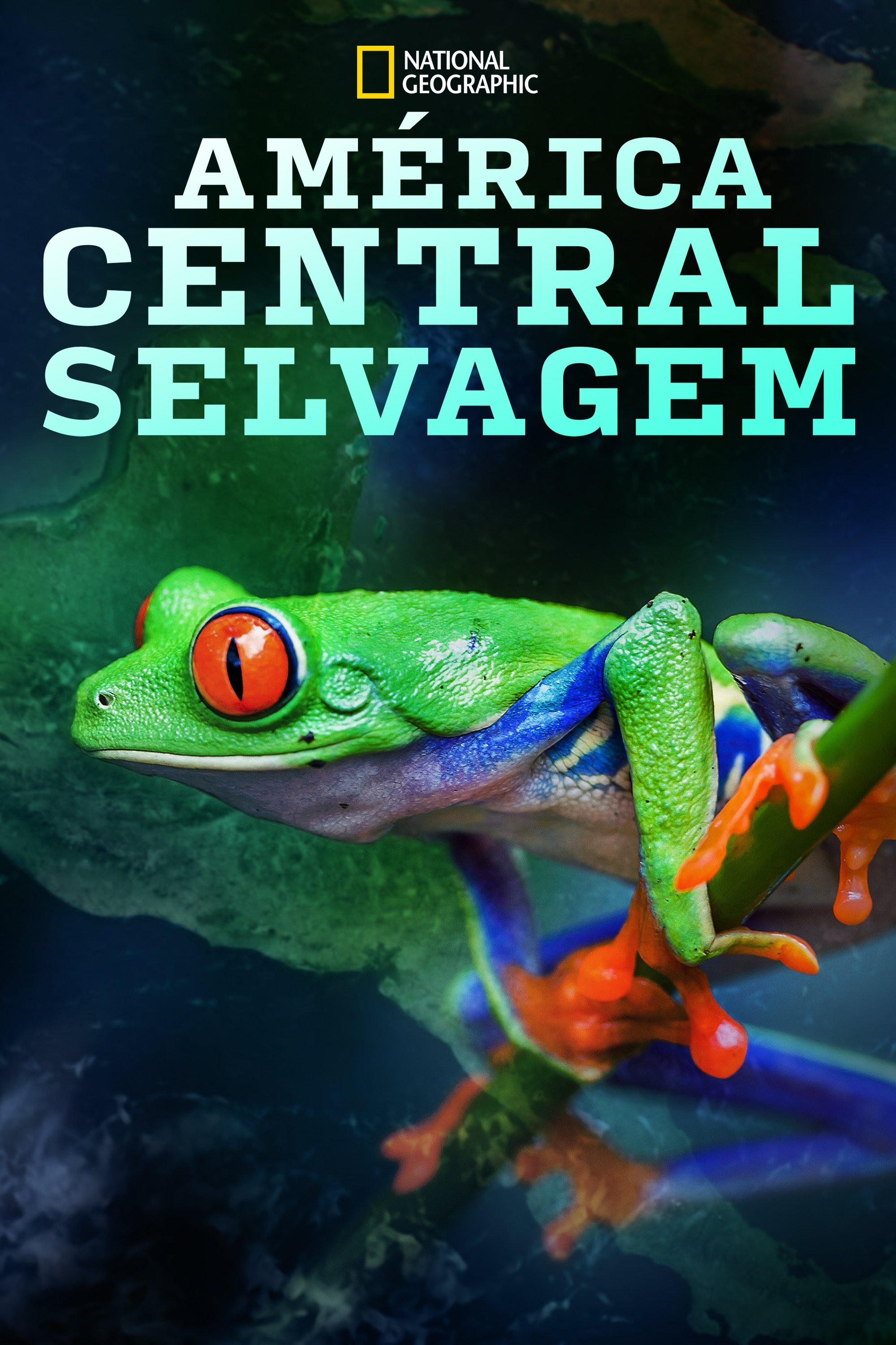 Poster de América Central Selvagem