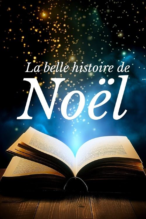 Poster de La belle histoire de Noël