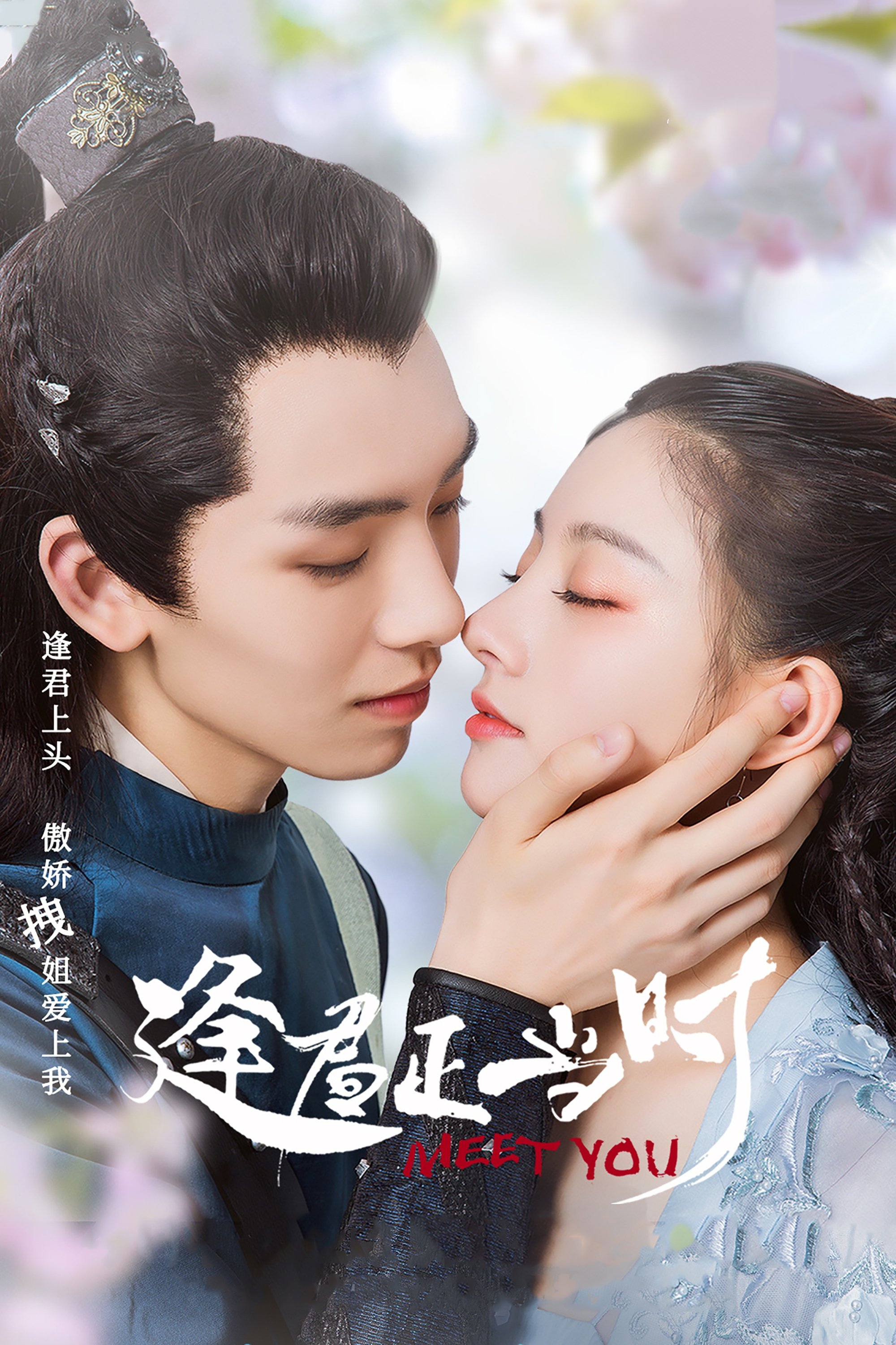 Poster de 逢君正当时