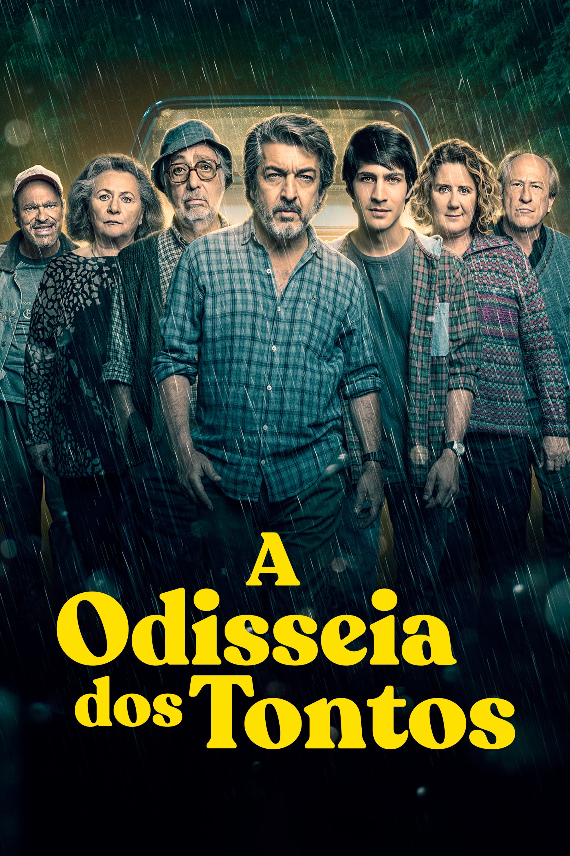 Poster de A Odisseia dos Tontos