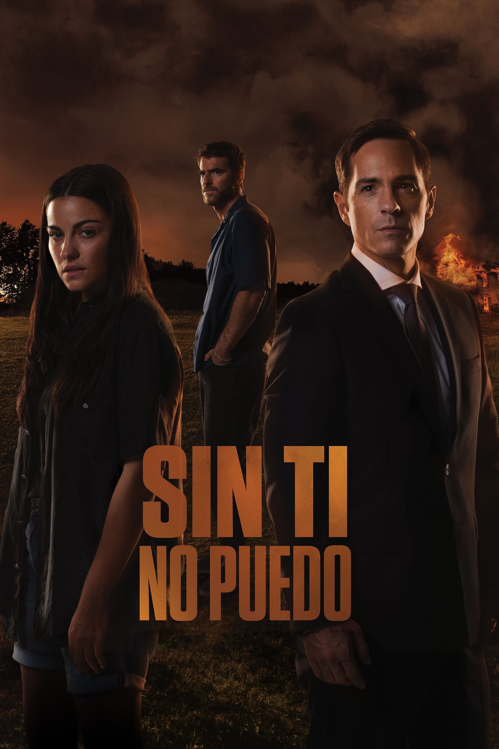 Sin ti no puedo poster