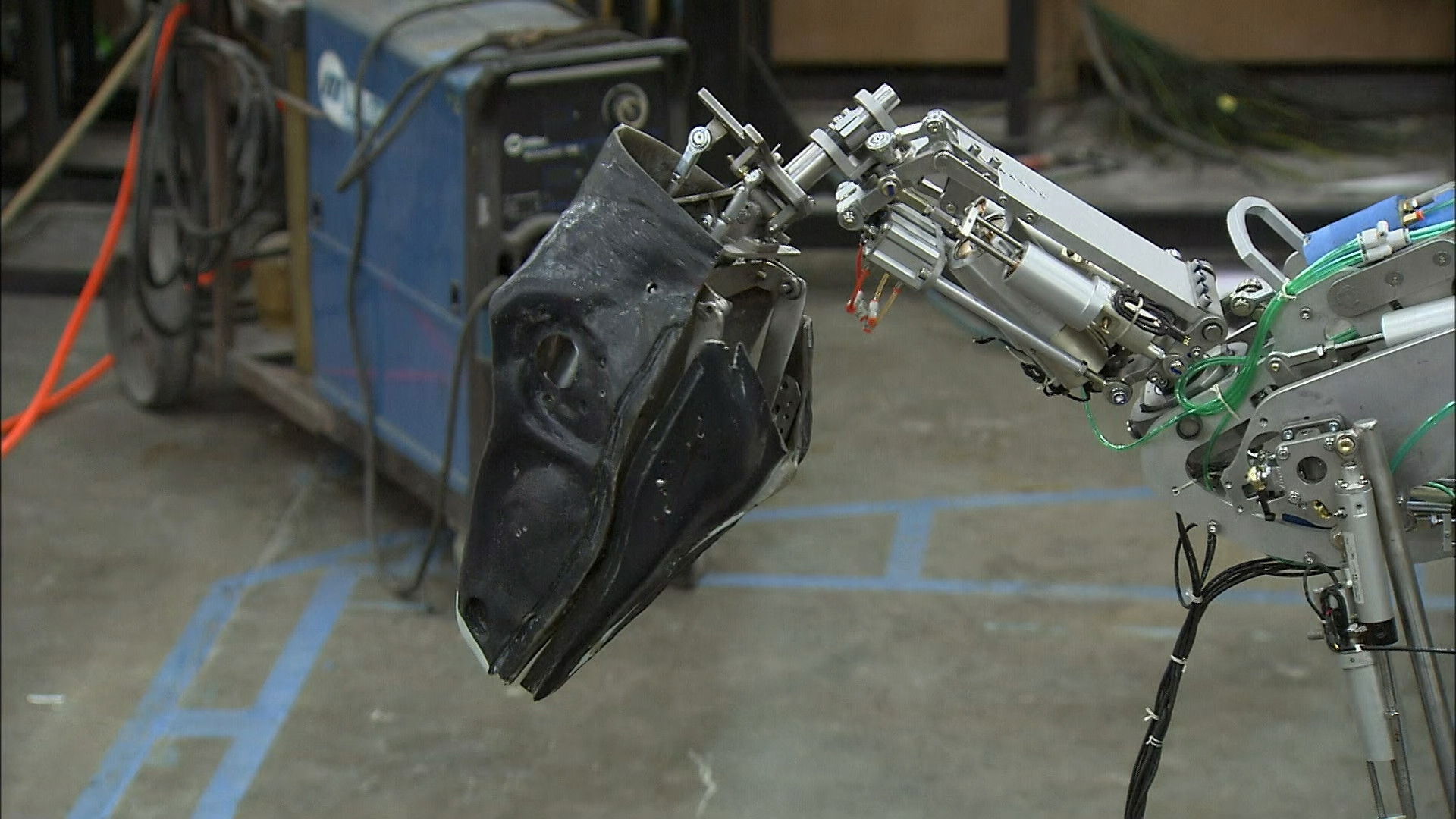 Wood Garage Doors, Sand & Salt Spreaders, Animatronic Dinosaurs