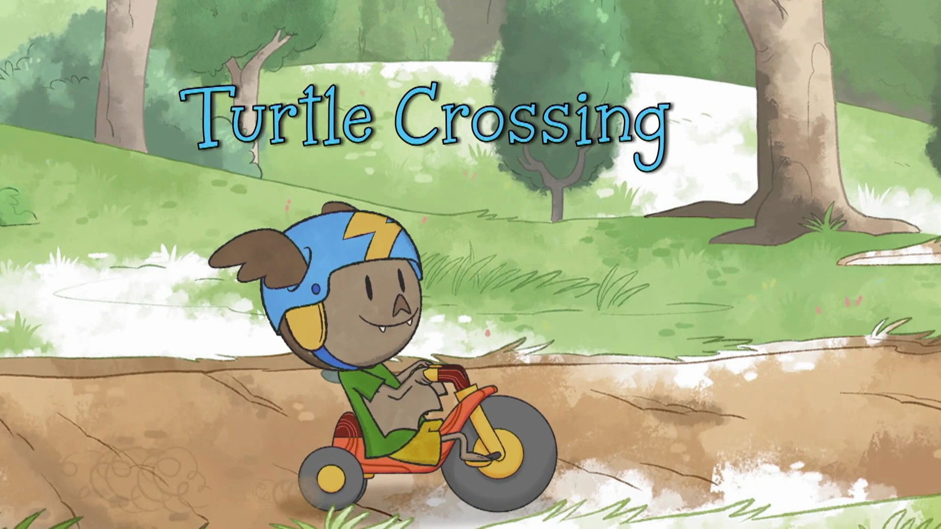 Turtle Crossing
