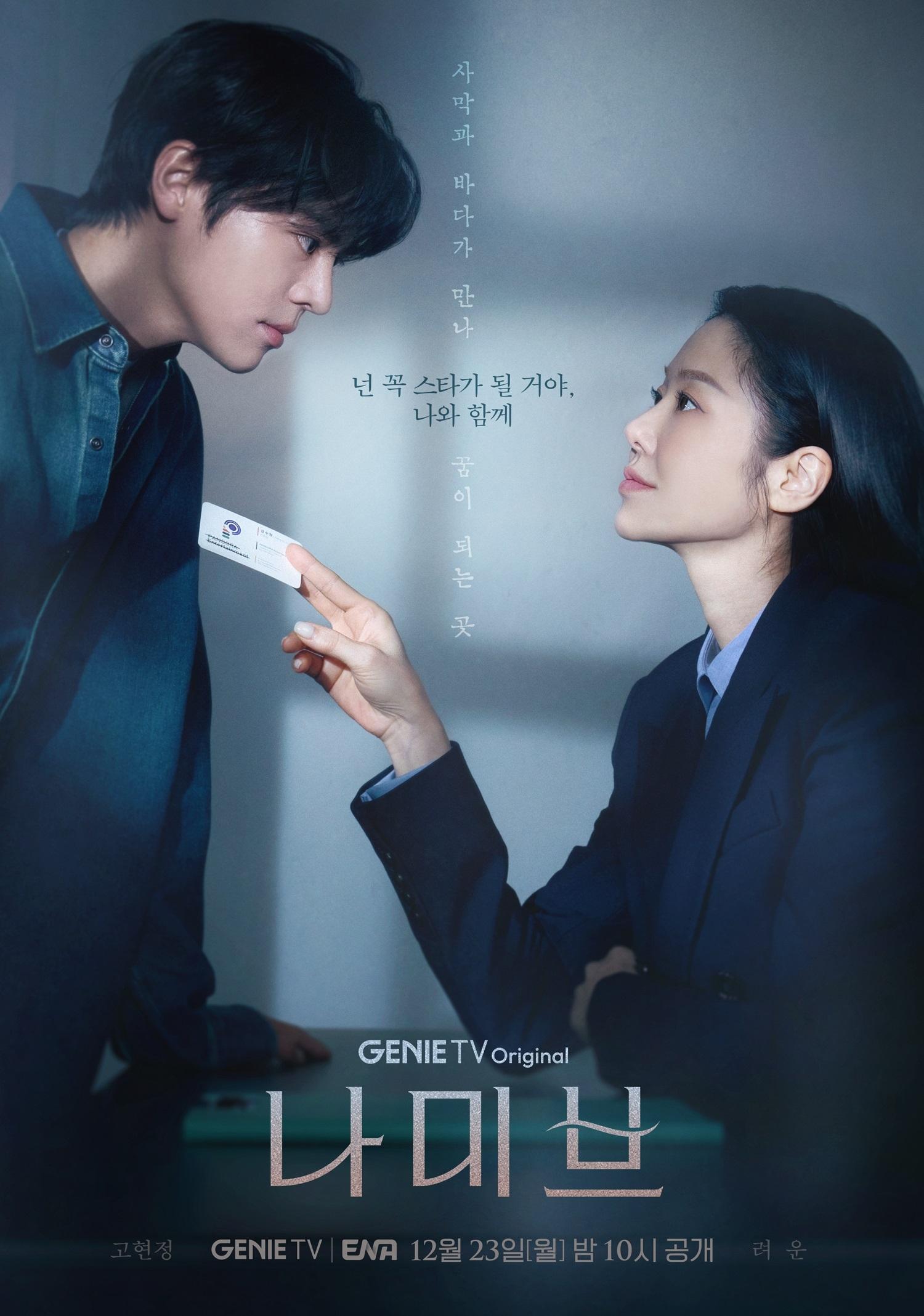 Poster de 나미브