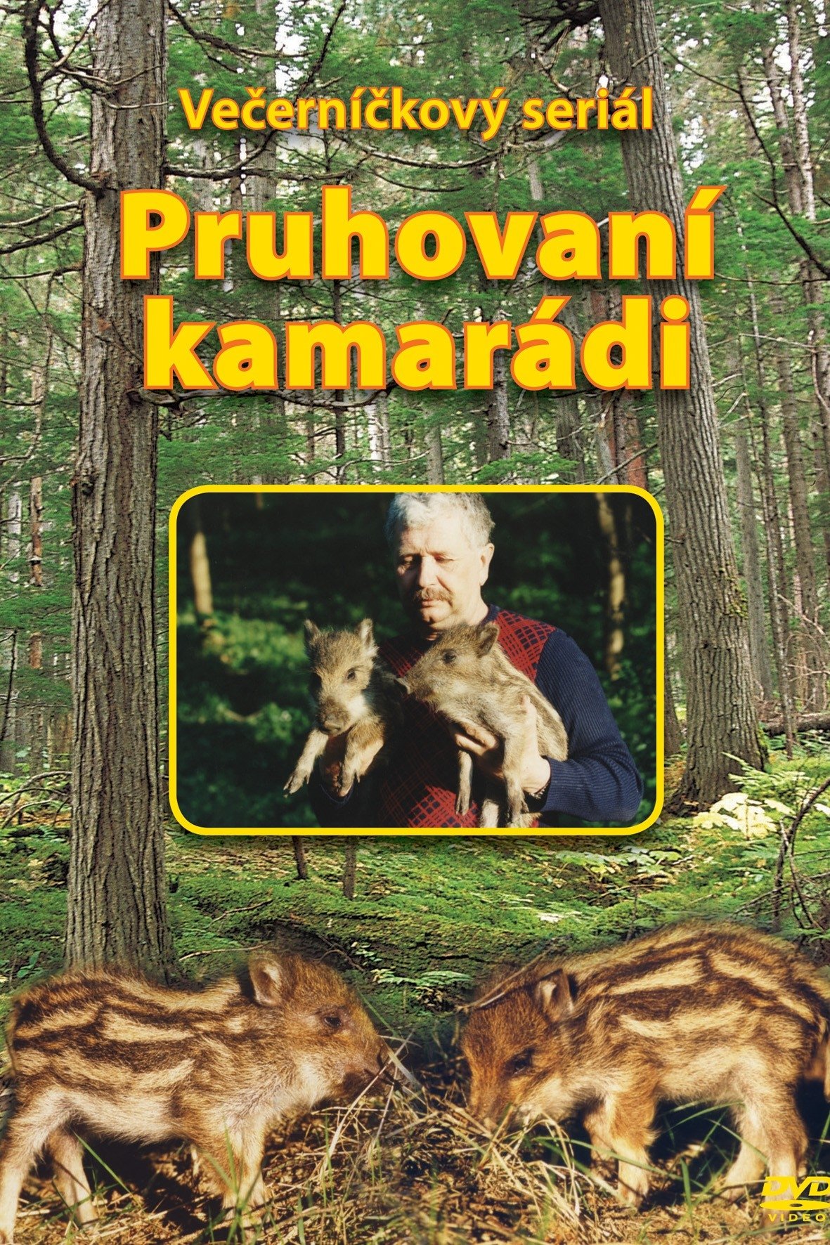 Poster de Pruhovaní kamarádi