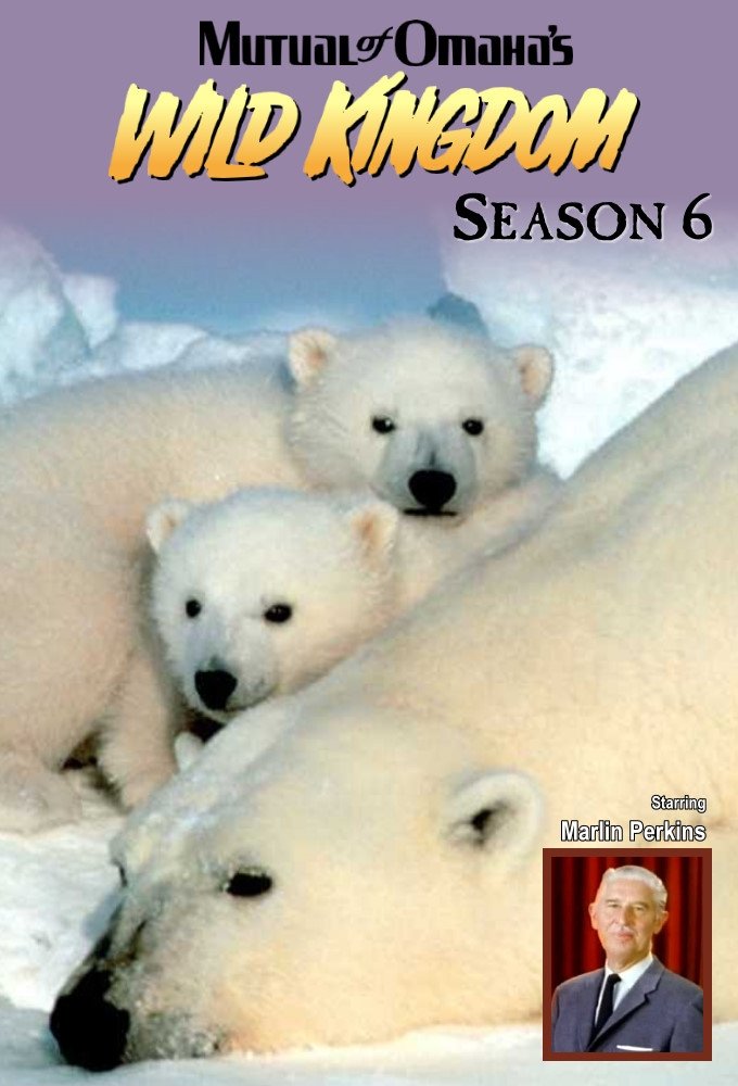 Poster de Temporada 6