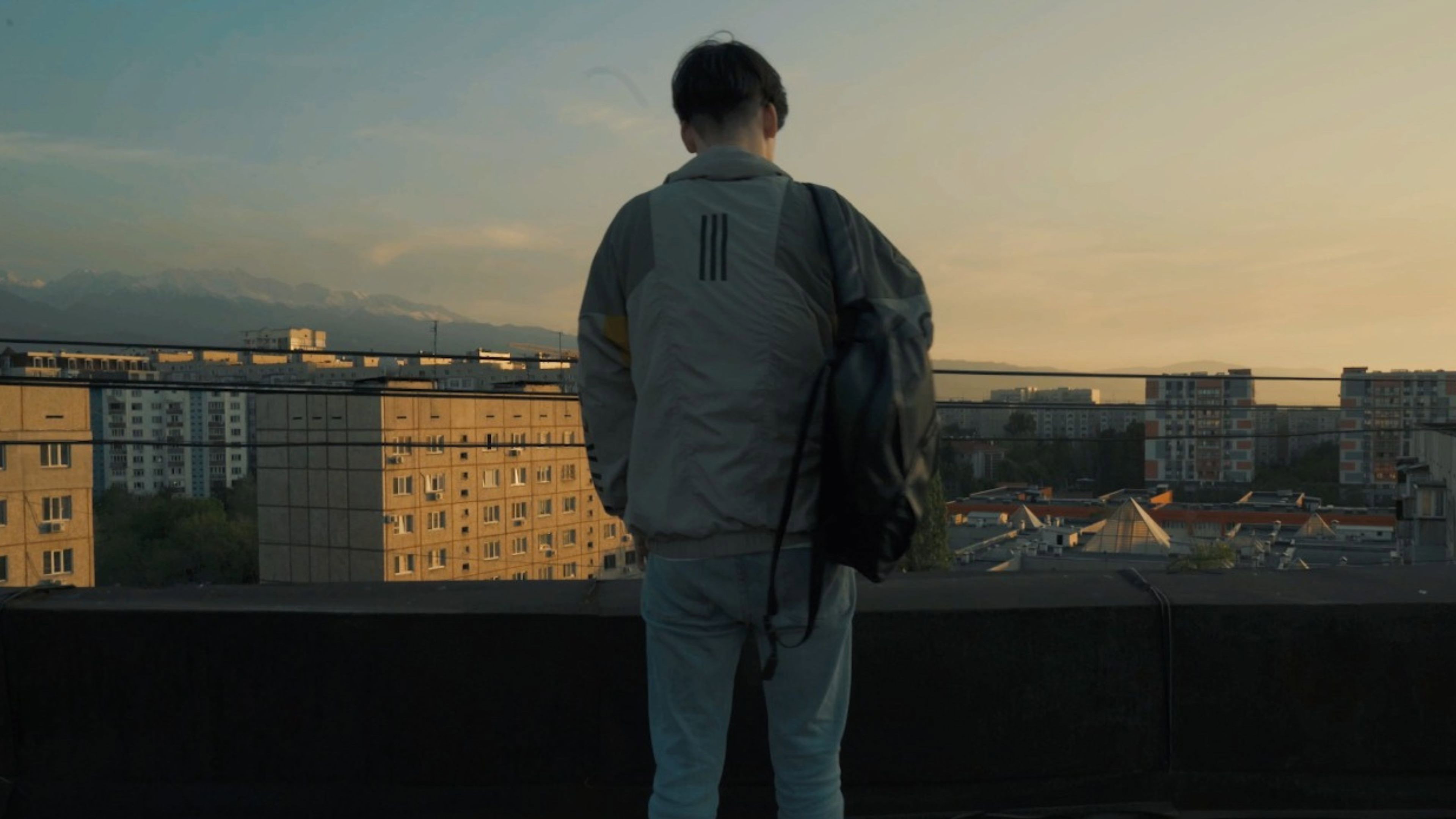 Director