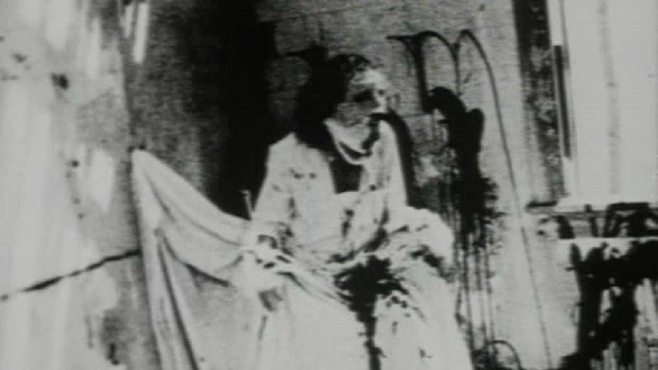 The Begotten Cycle