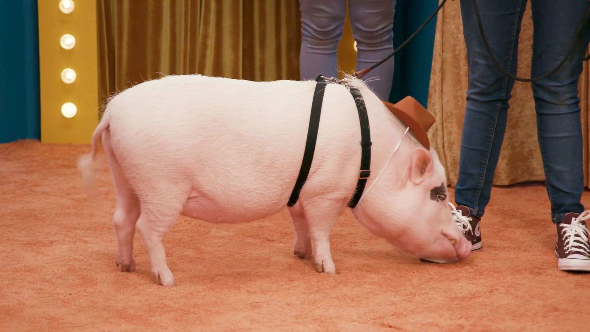 Behind the Scenes of “Sam Says 3”