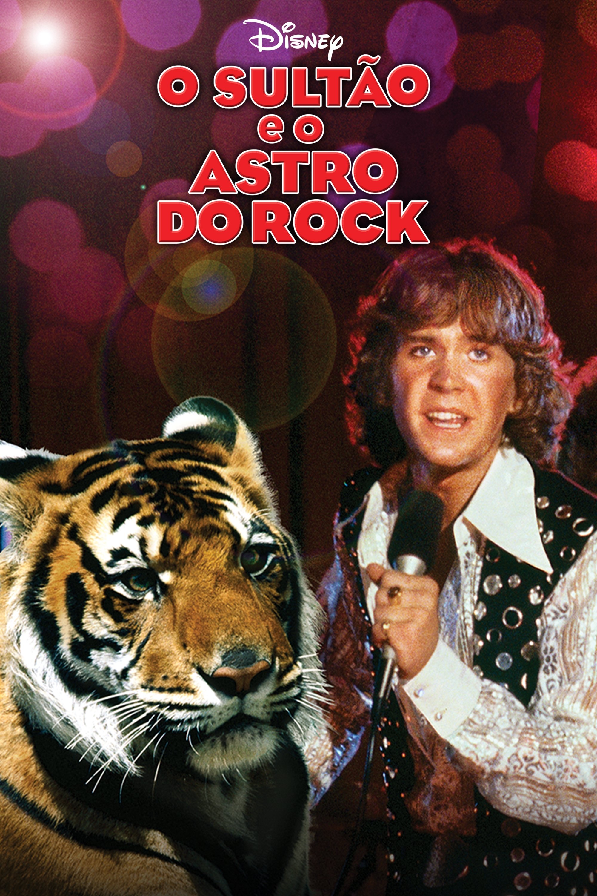 Poster de O Sultão e o Astro do Rock