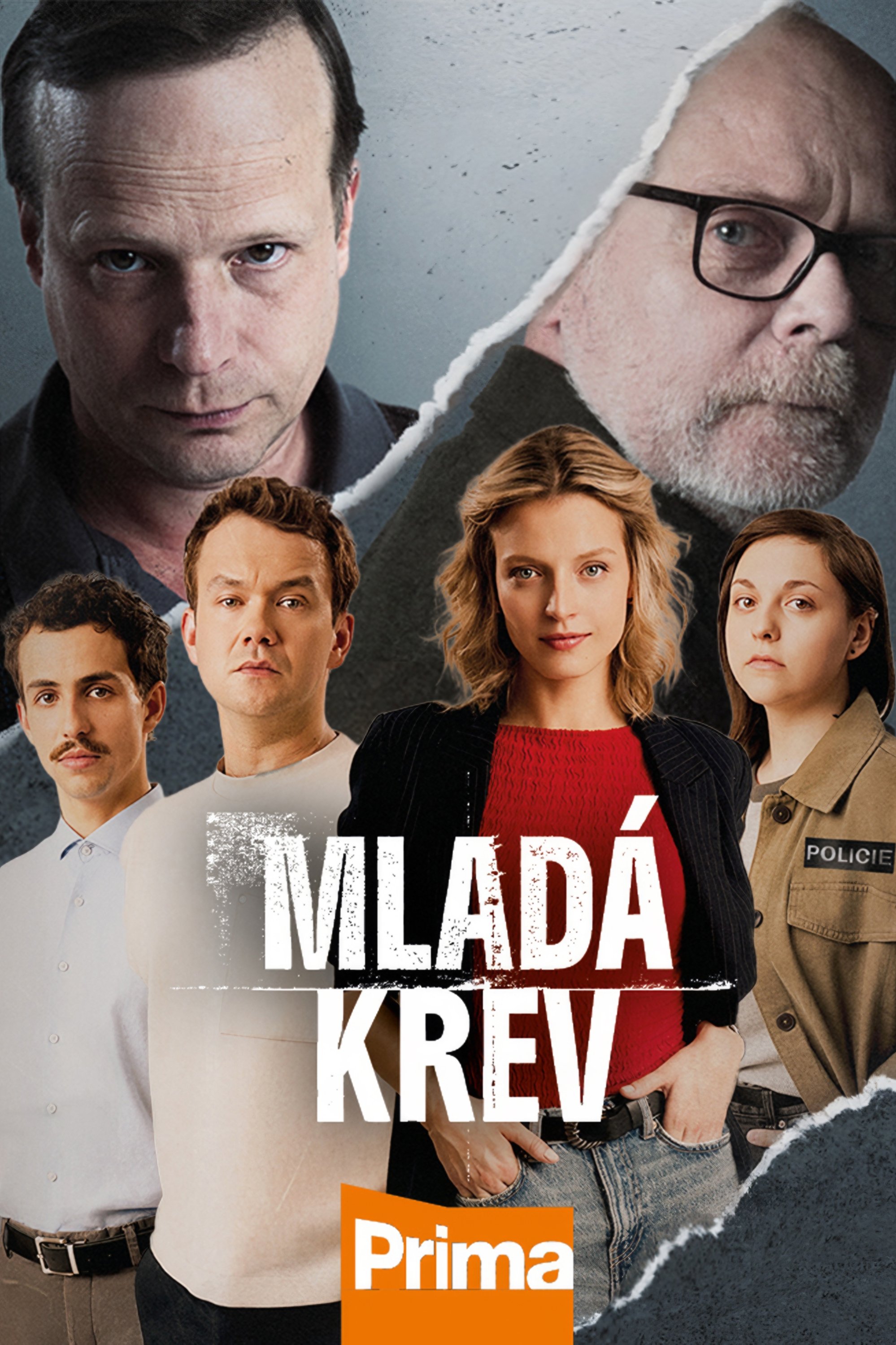 Poster de Temporada 1