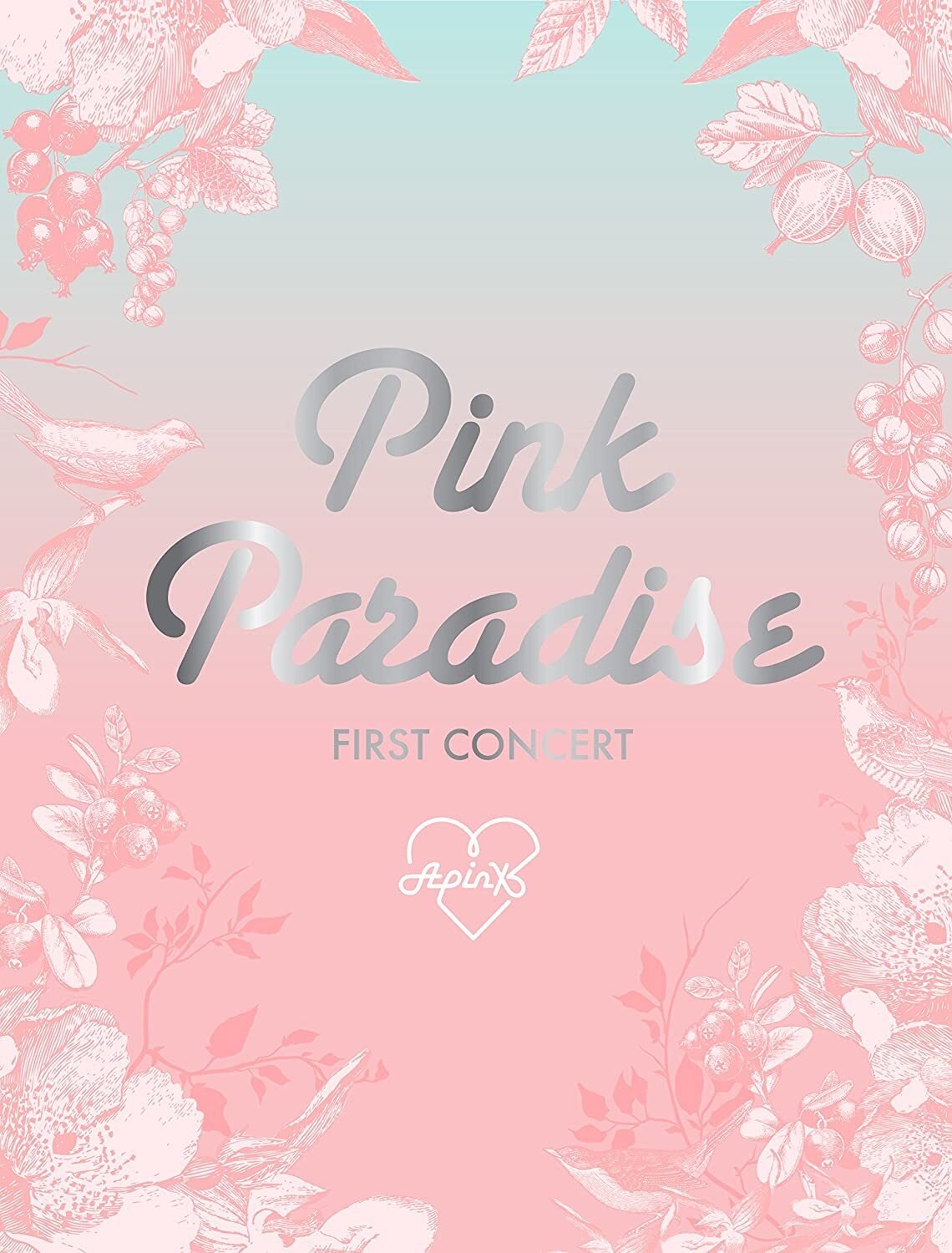 Affiche du film Apink 1st Concert "Pink Paradise"
