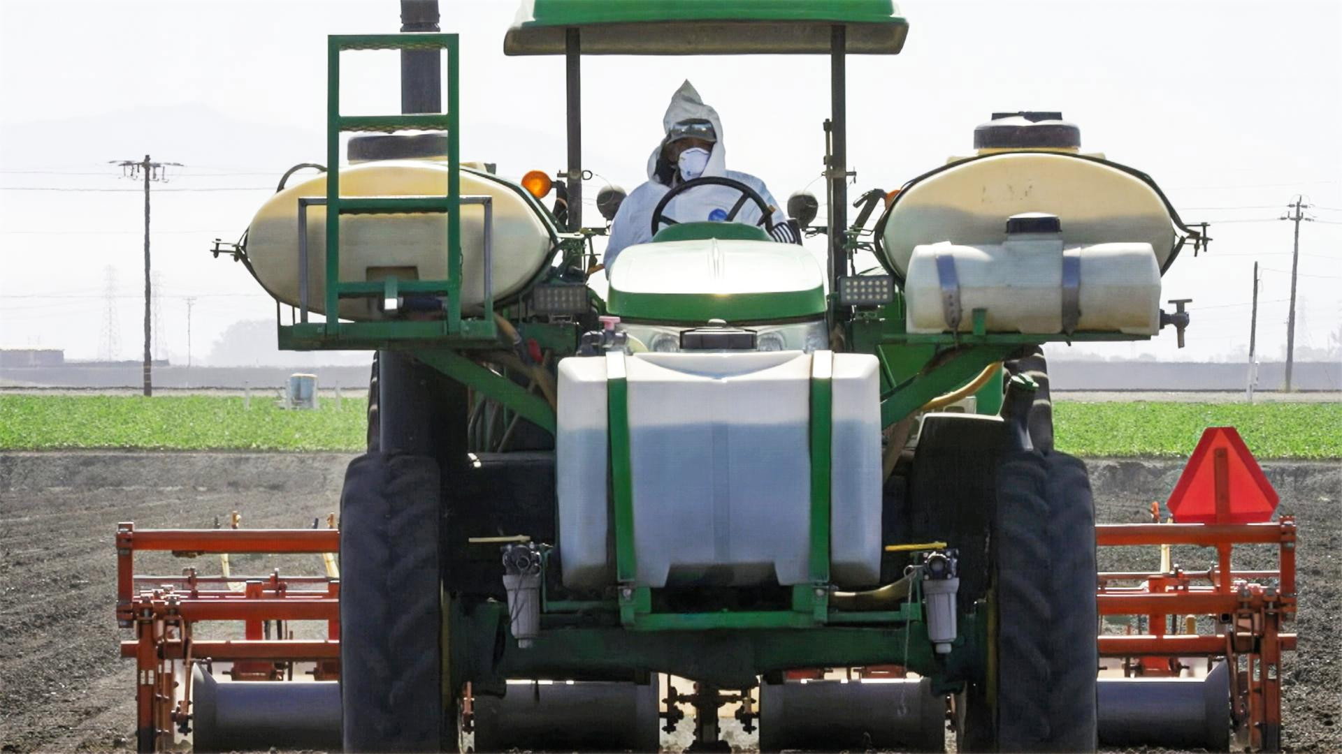 The Big Business of XXL Farms
