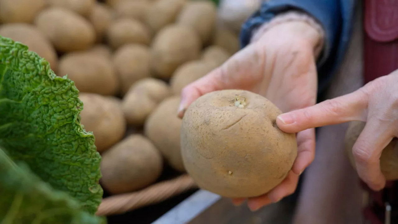 Chaud patate ! La pomme de terre en danger