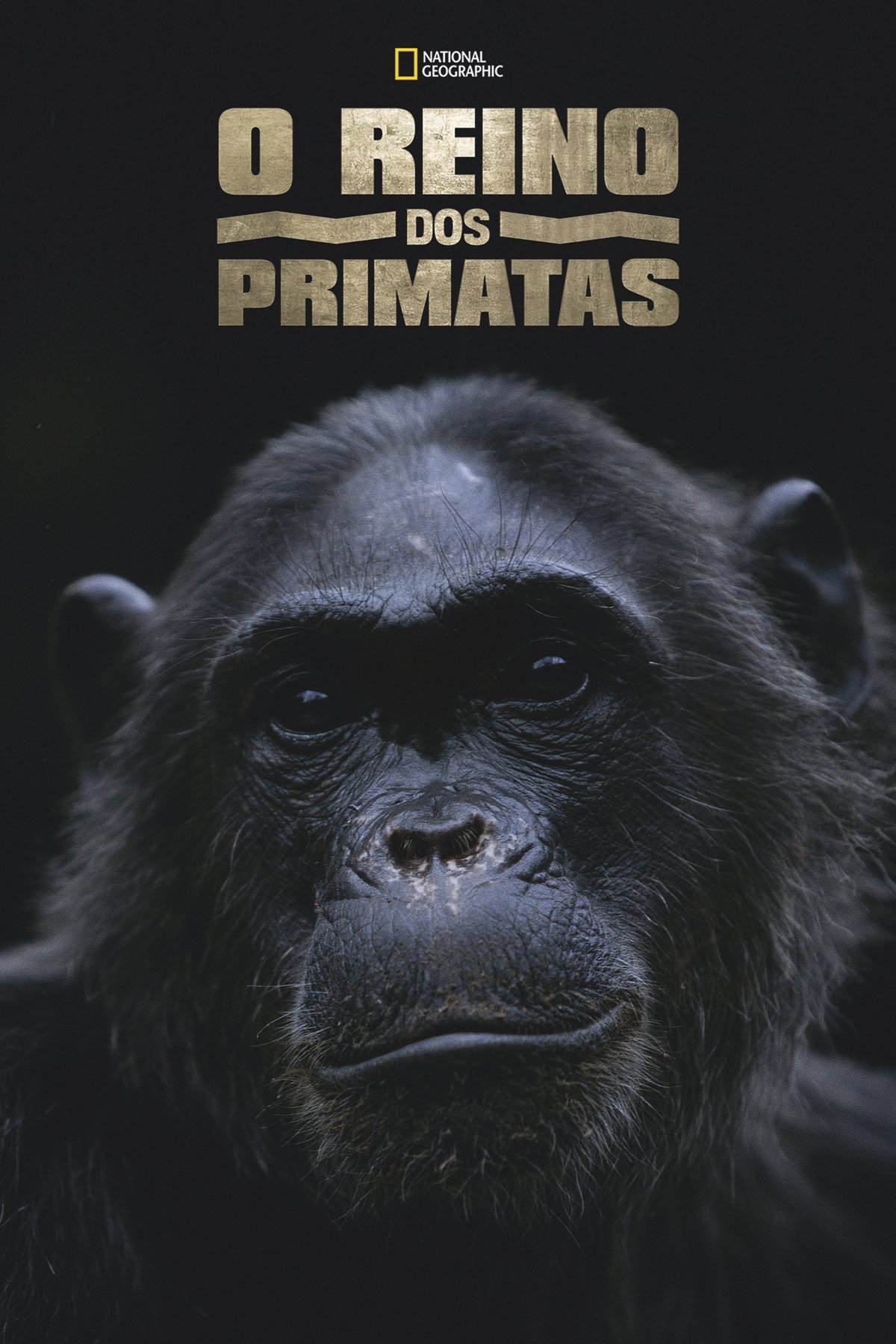 Poster de O Reino dos Primatas
