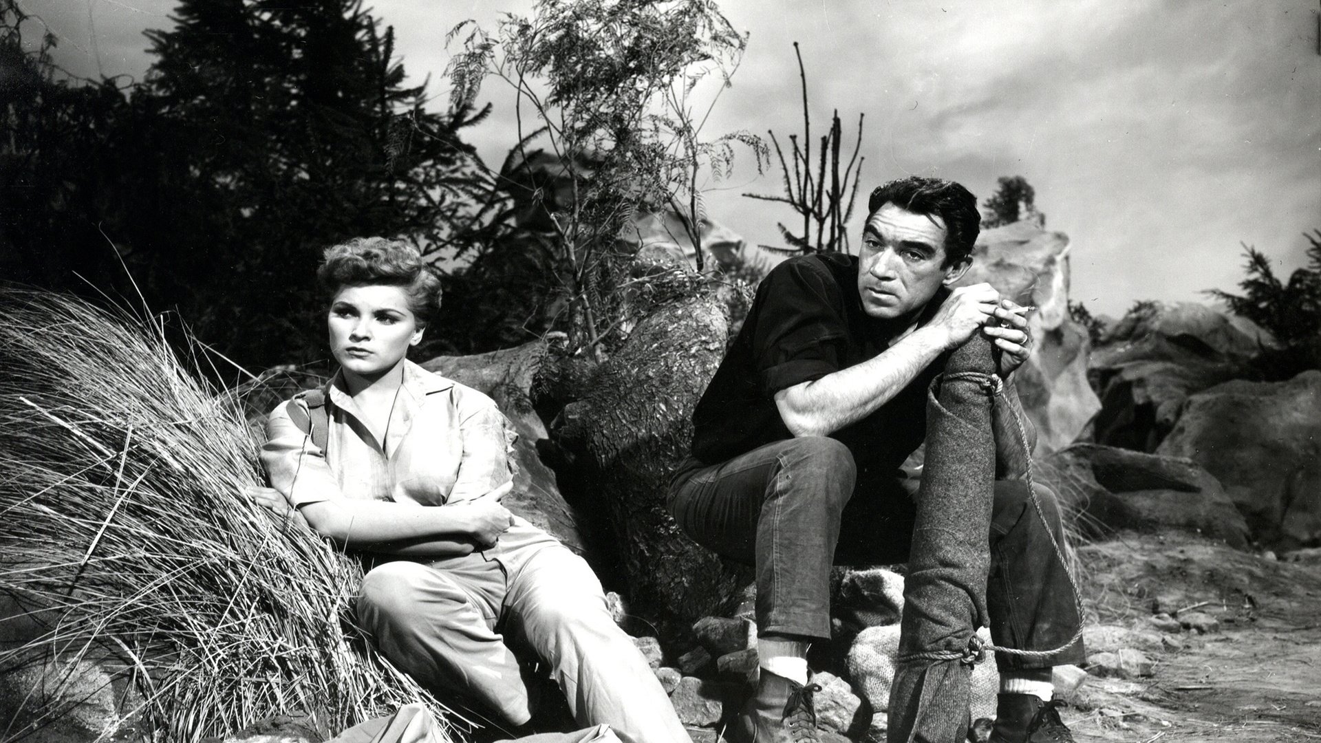 Backdrop image
