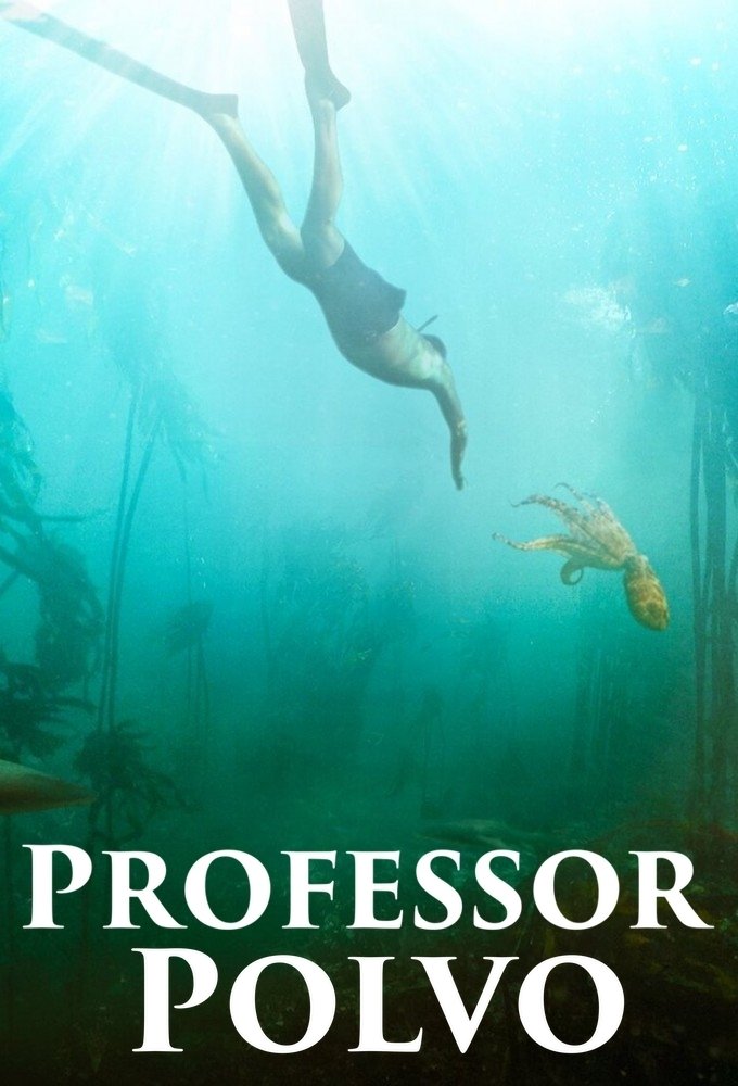 Poster de Professor Polvo
