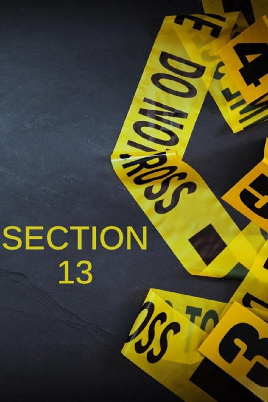 Poster de Section 13