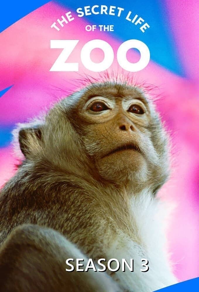 Poster de Temporada 3