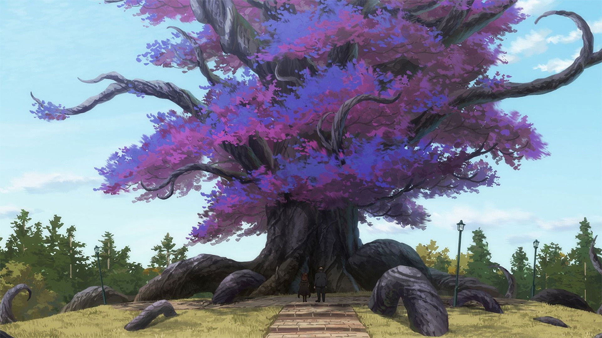 The Old Giant Tree Sleeps