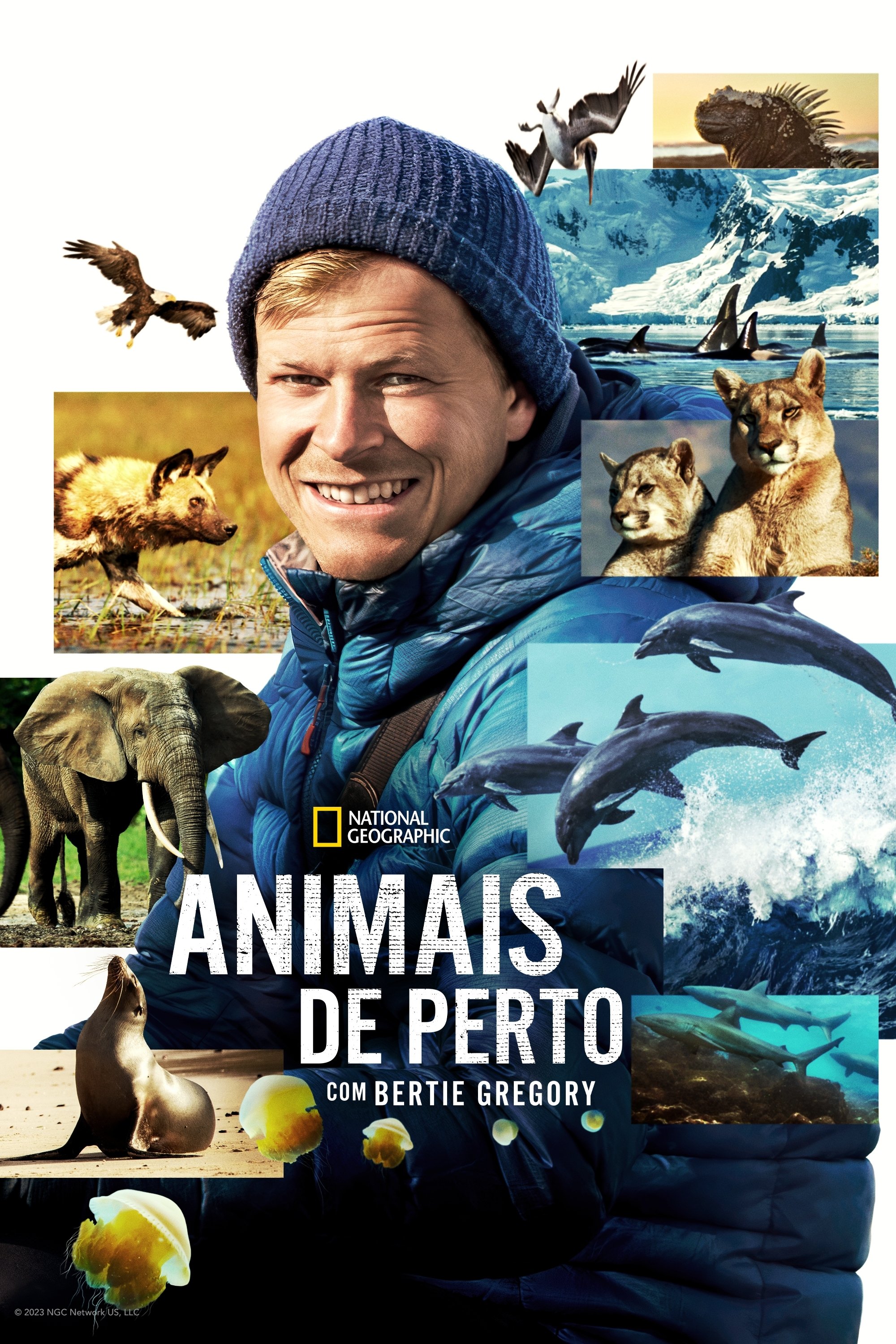 Poster de Animais de Perto com Bertie Gregory
