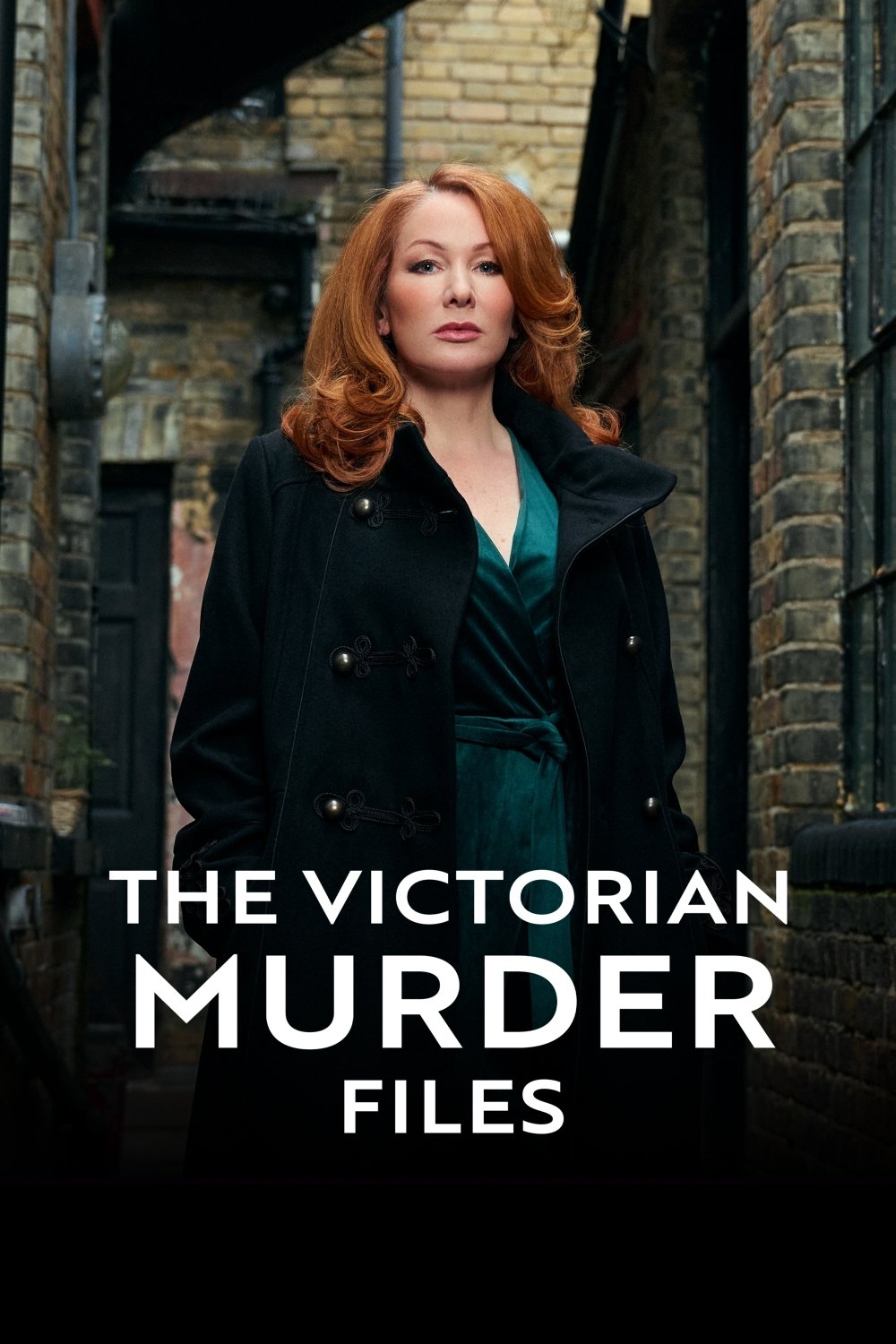 Poster de The Victorian Murder Files