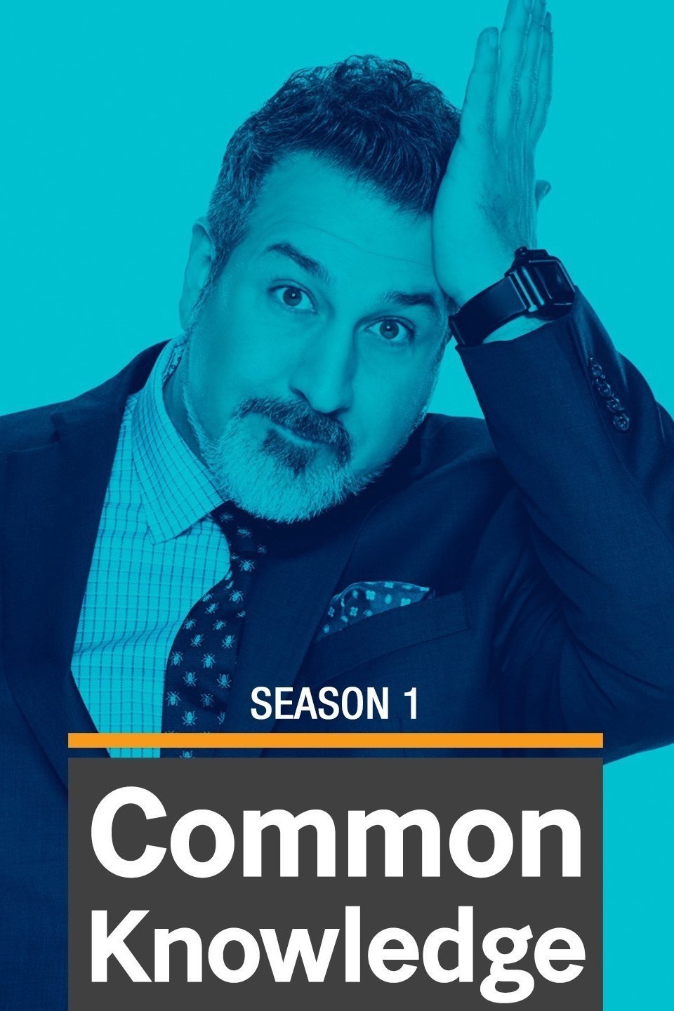 Poster de Temporada 1