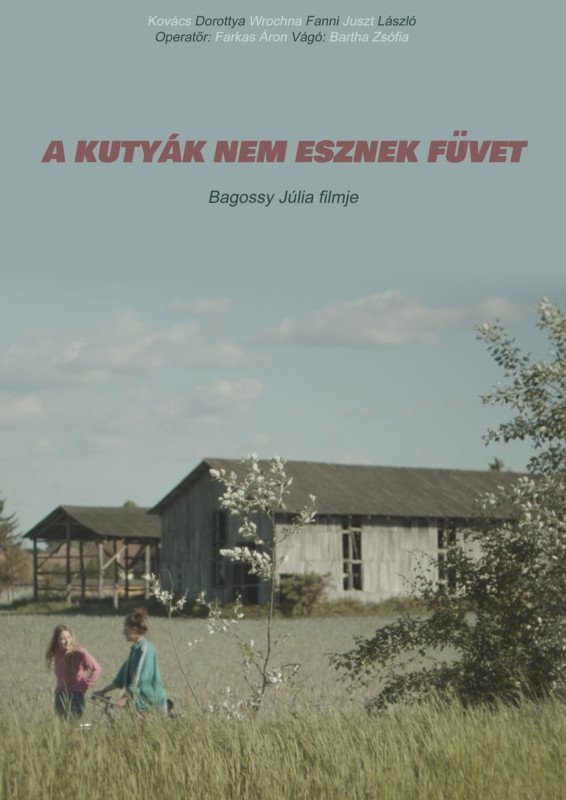 Poster de A kutyák nem esznek füvet