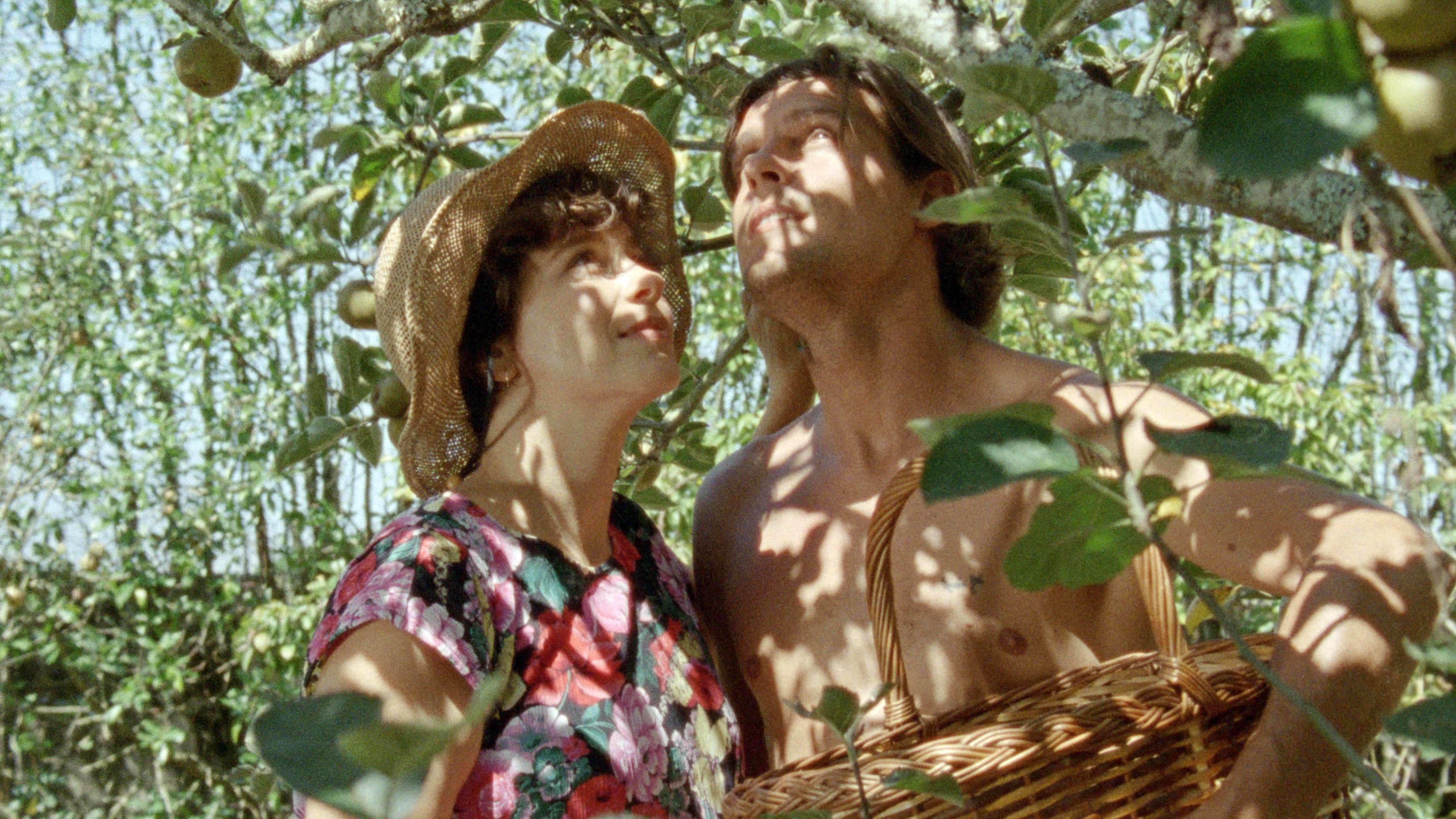 Backdrop image