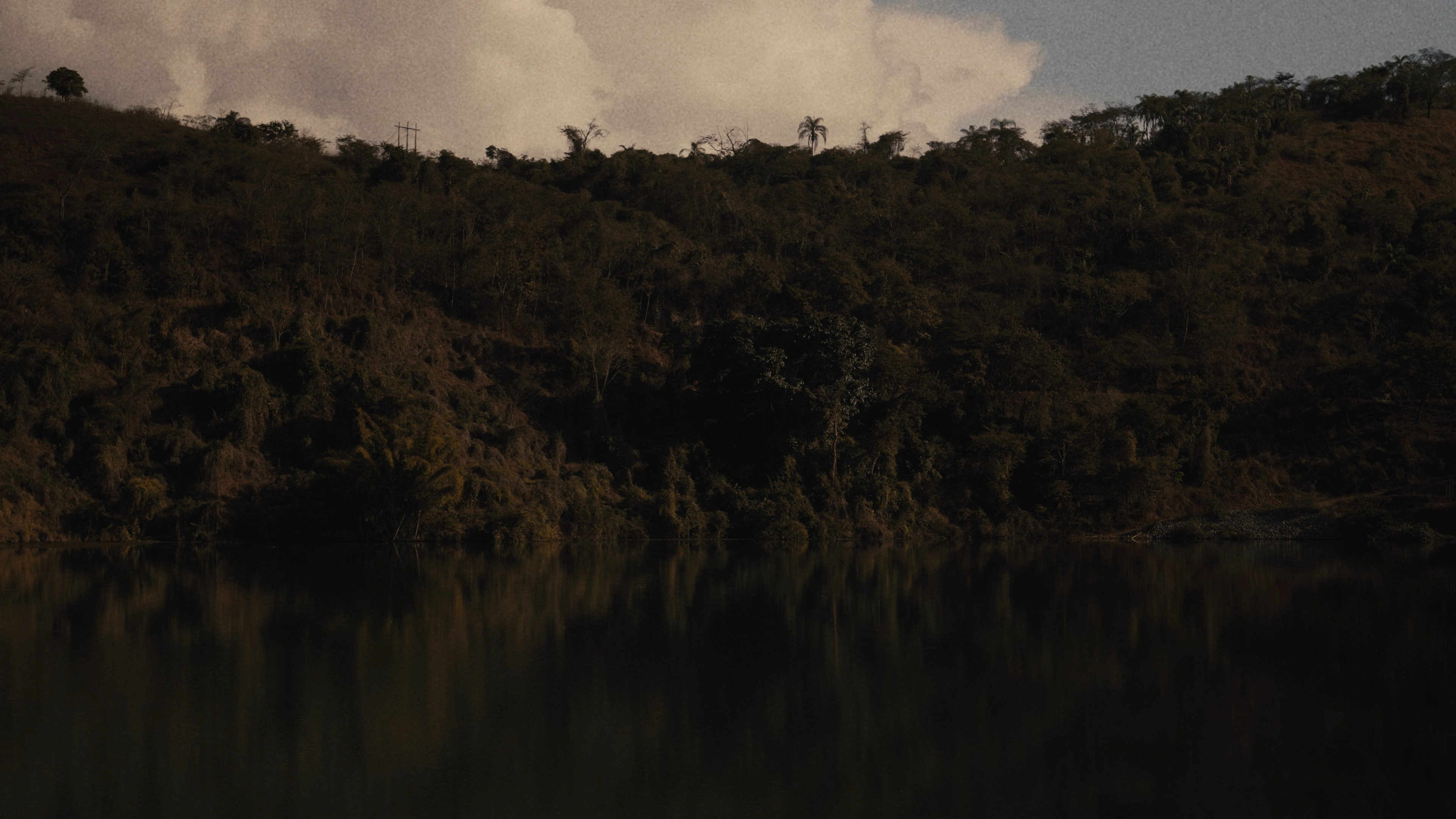 Director
