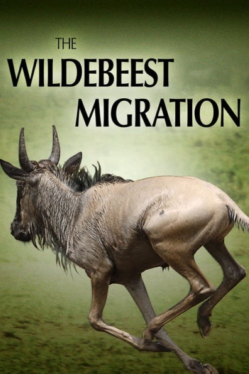 Poster de The Wildebeest Migration: Nature's Greatest Journey