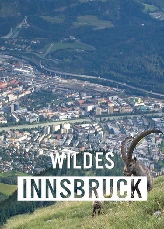 Poster de Wildes Innsbruck: Zwischen Moderne und alpiner Wildnis