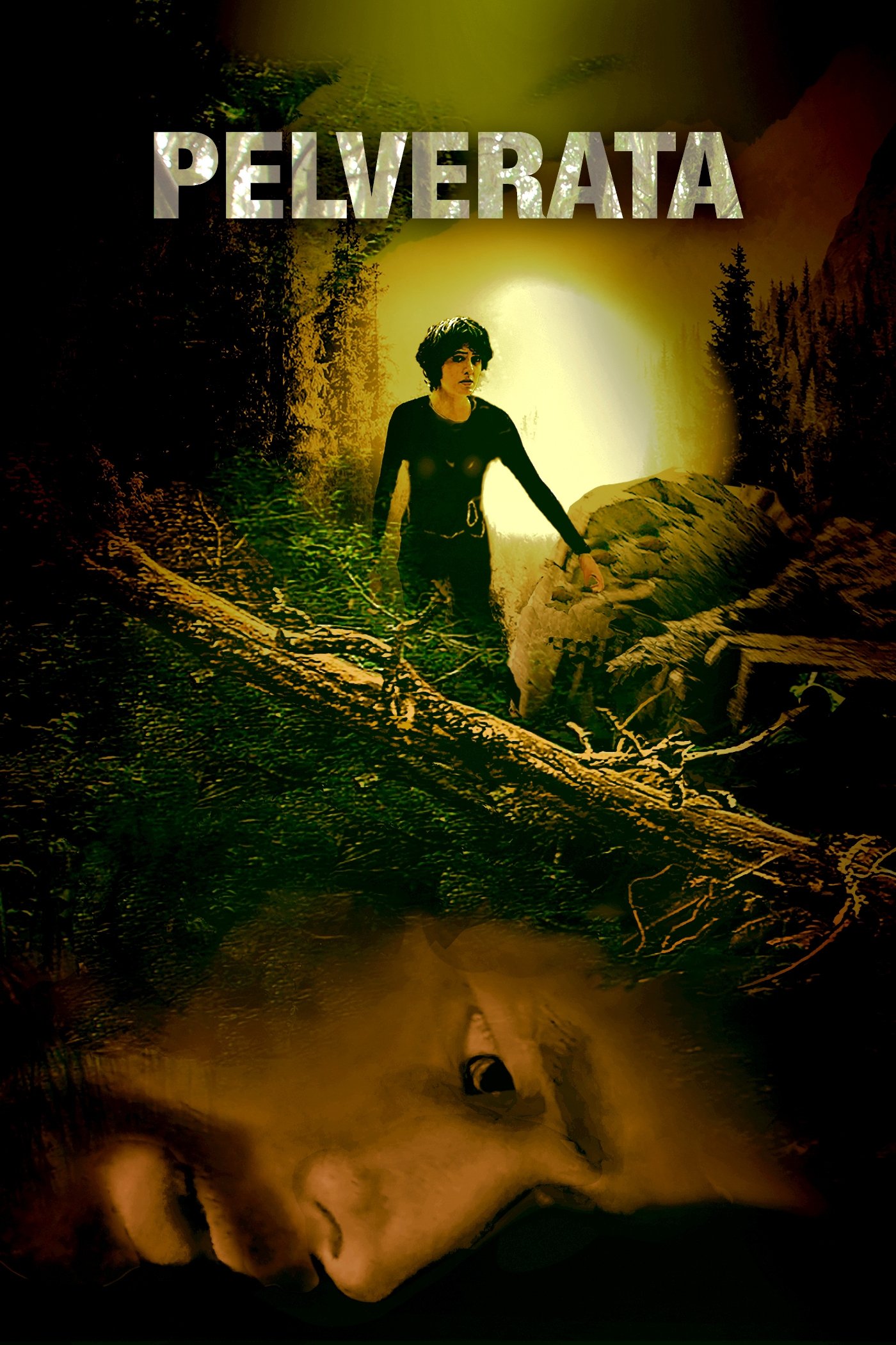 Poster de Pelverata
