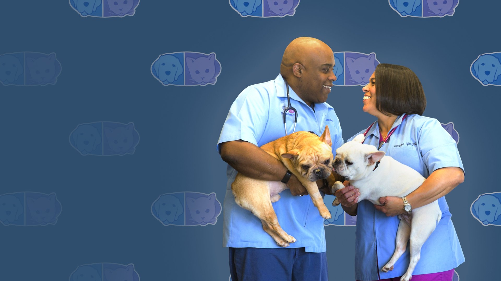 Love & Vets