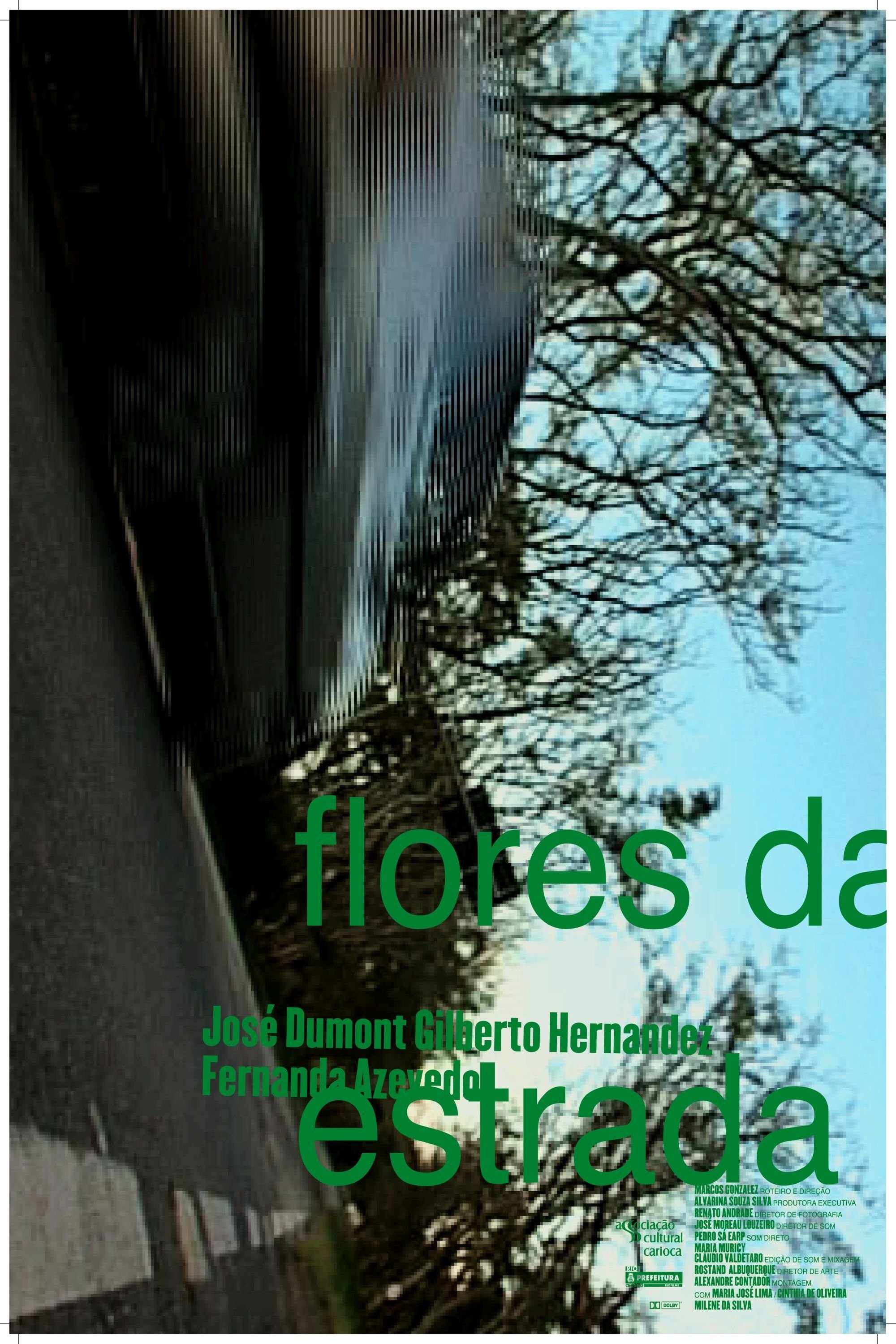 Poster de Flores da Estrada