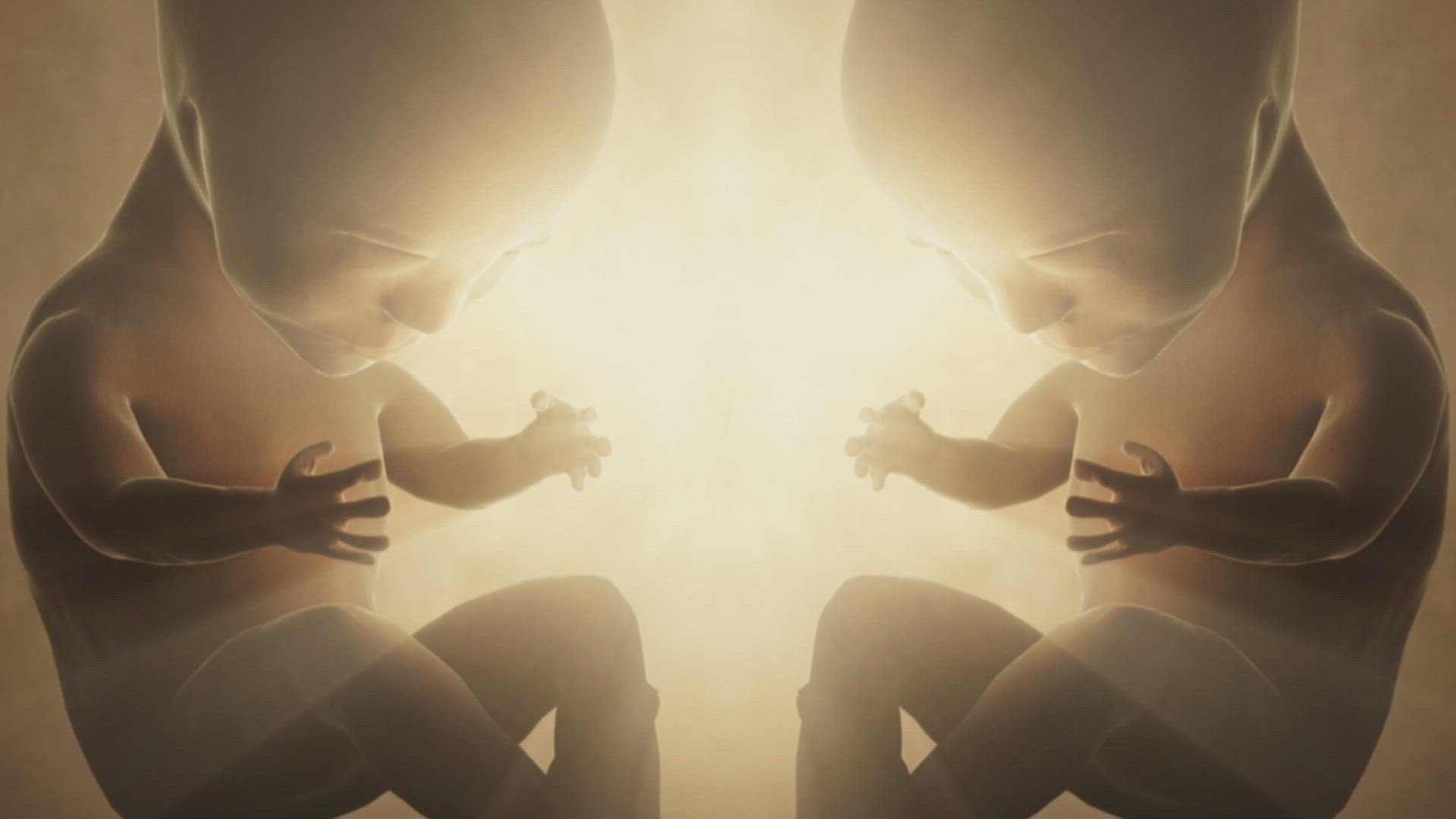Human Genesis