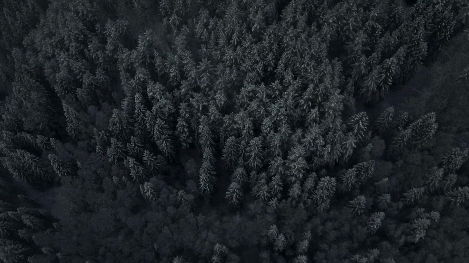 backdrops