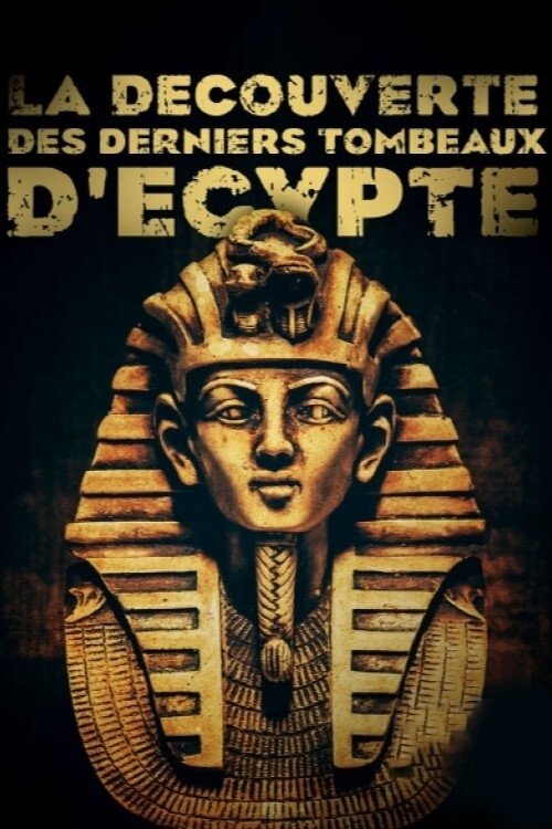 Poster de La découverte des derniers tombeaux d'Egypte