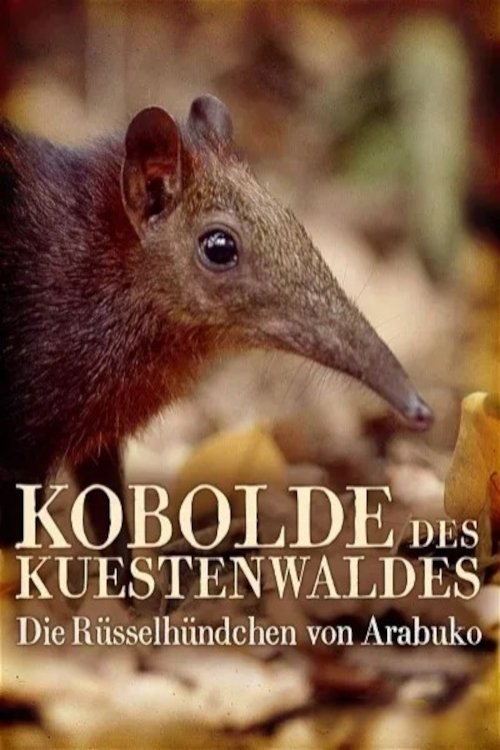 Poster de Kobolde des Küstenwaldes - Die Rüsselhündchen von Arabuko