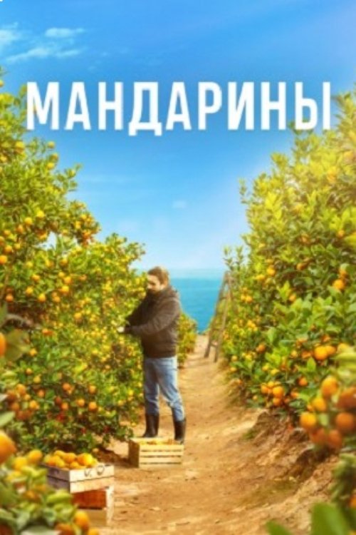Poster de Мандарины