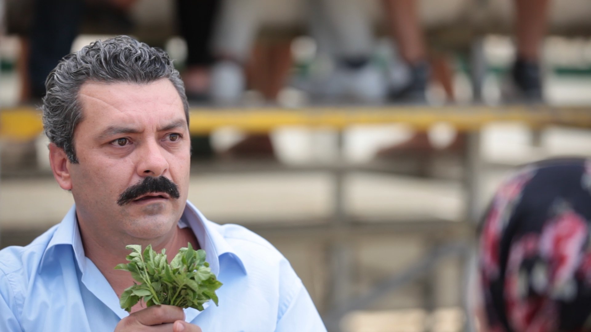 Tamer Yilmaz