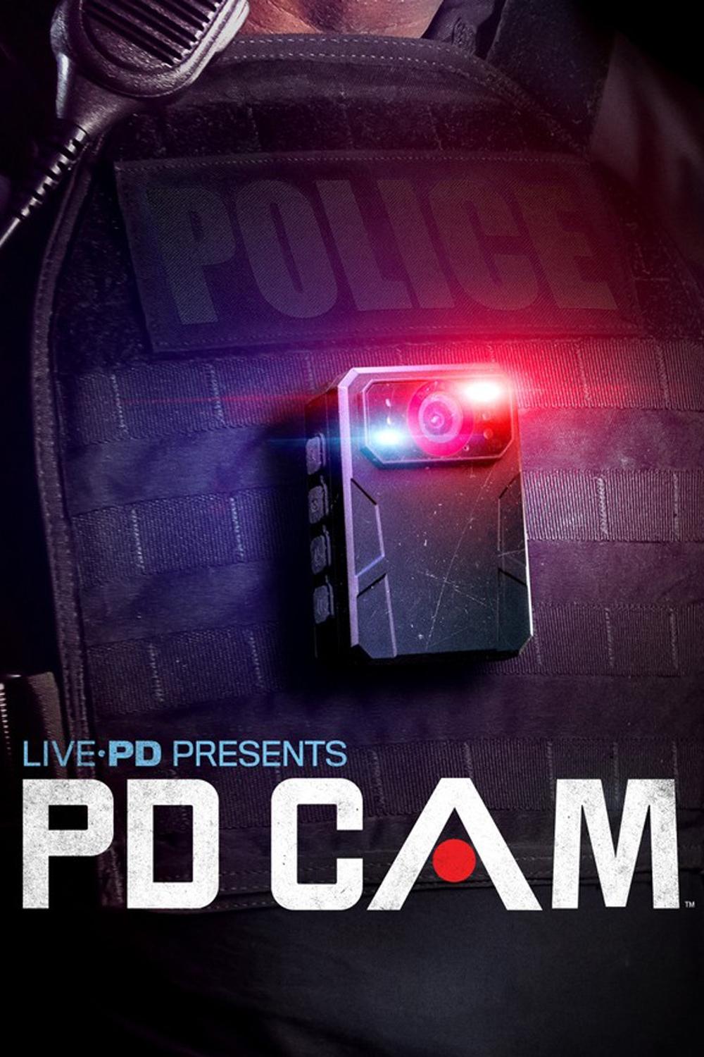 Poster de Temporada 5