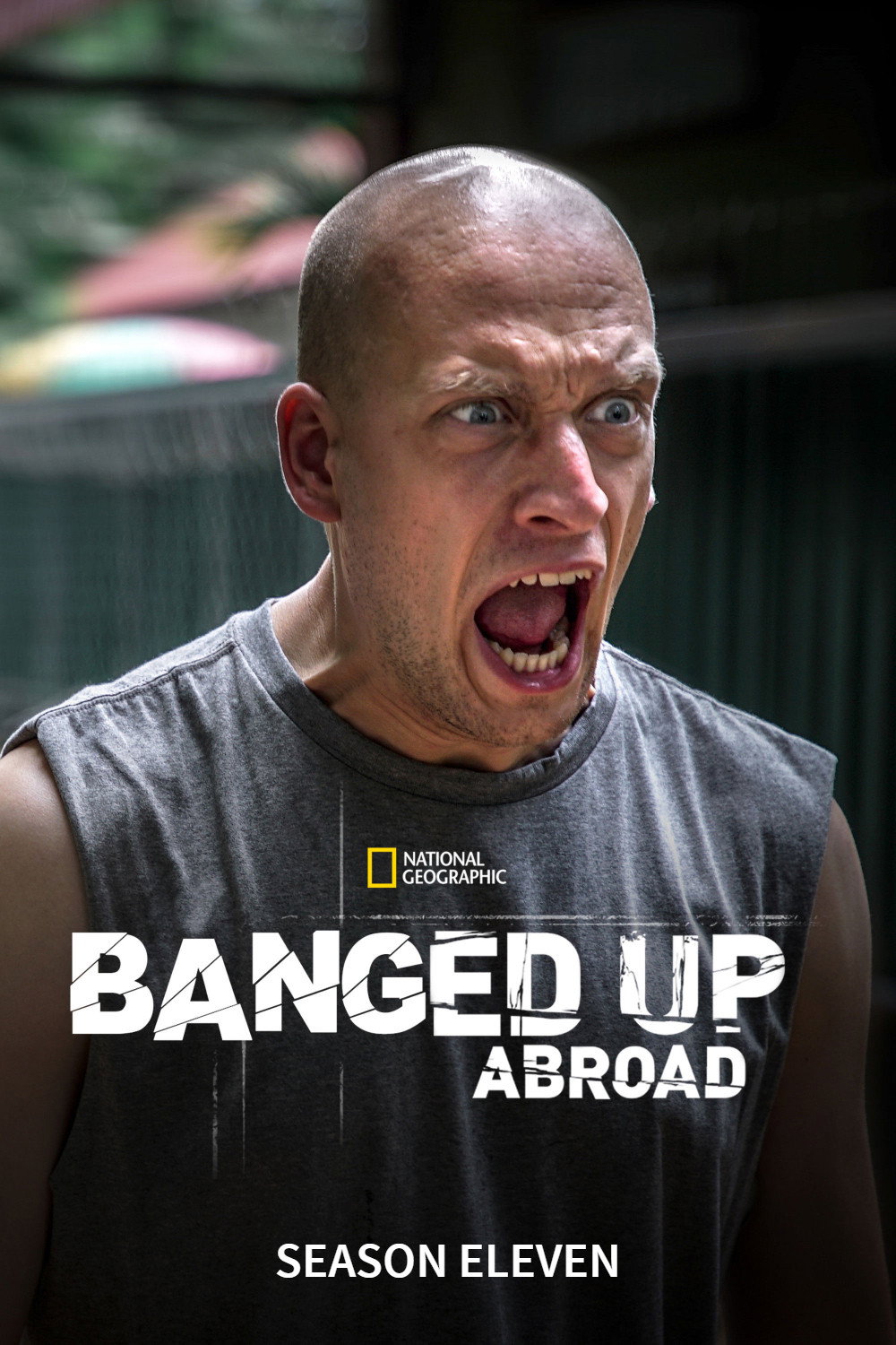 Poster de Temporada 11