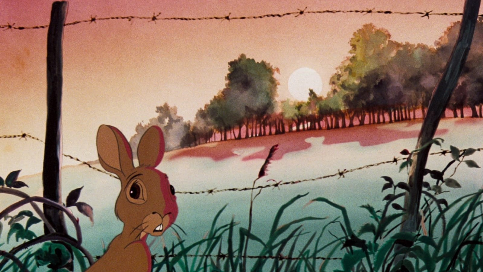 backdrops