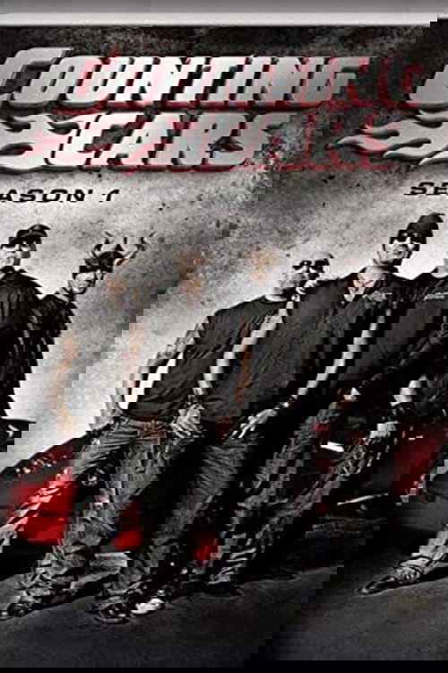 Poster de Temporada 1