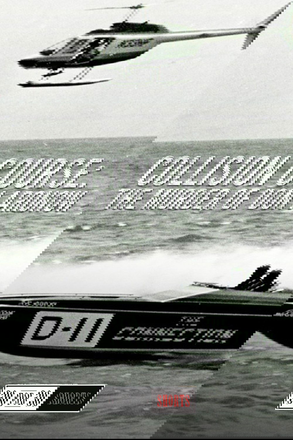 Poster de Collision Course: The Murder of Don Aronow