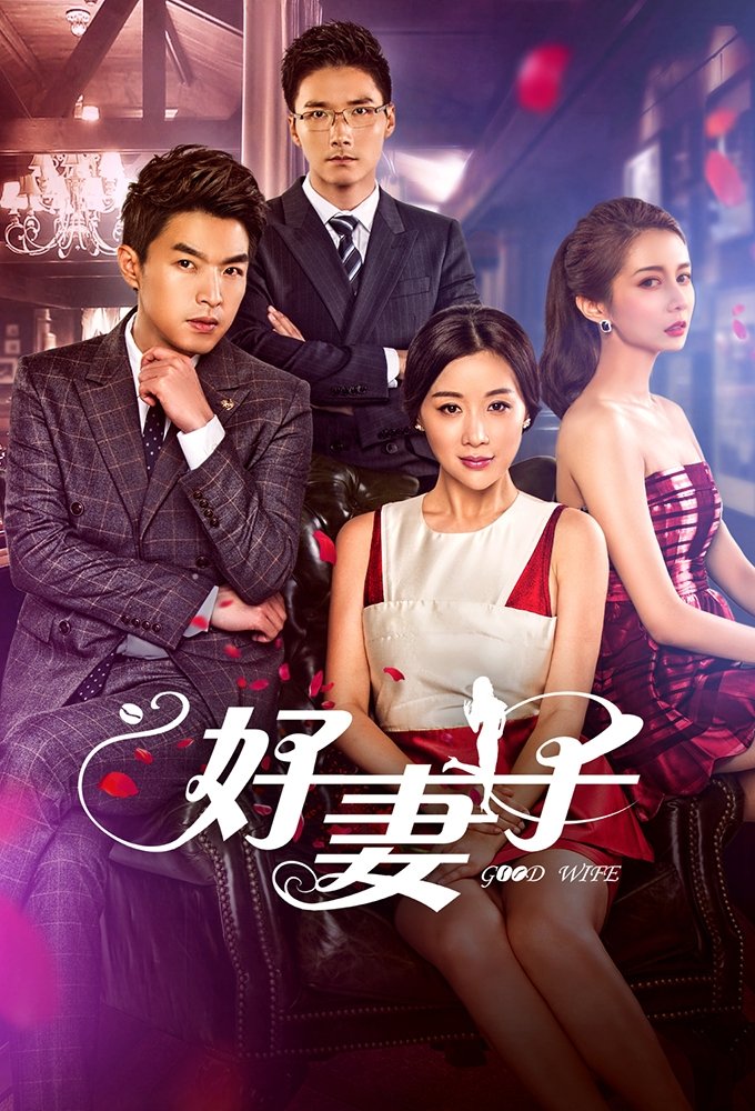 Poster de 好妻子